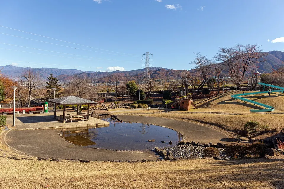 Pond and wooded park — Yamanashi, Japan