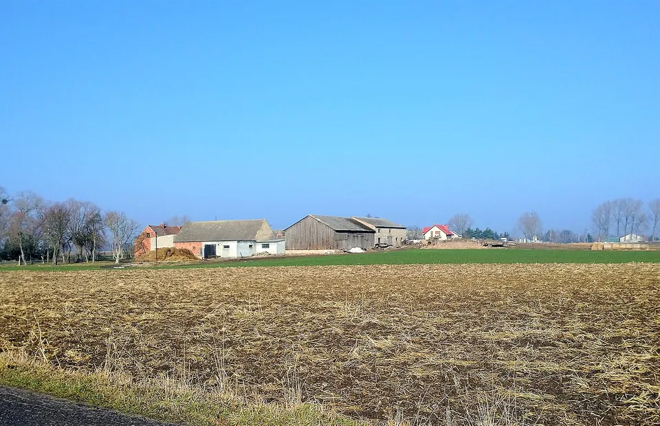 Kokoszki, gm. Nekla — Greater Poland Voivodeship, Poland