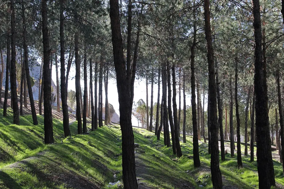 Paark Shariati Khorramabad — Lorestan, Iran