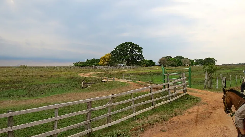 HatoApure — Apure, Venezuela
