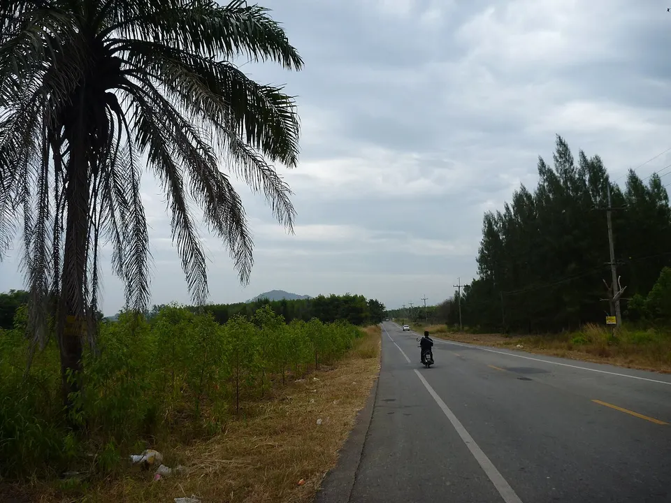 Landscape - road - panoramio — Chon Buri Province, Thailand