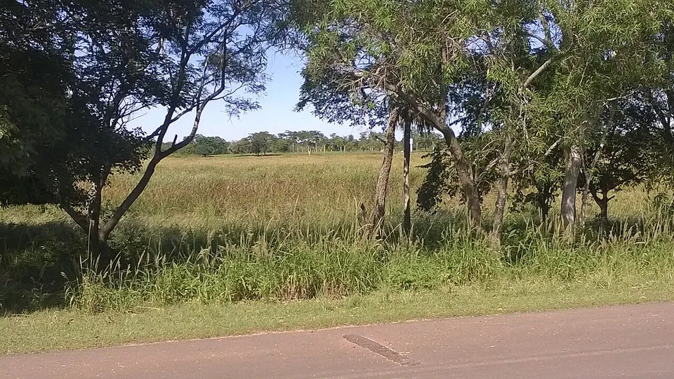 Mirador Laguna Vera - panoramio — SAN PEDRO, Paraguay