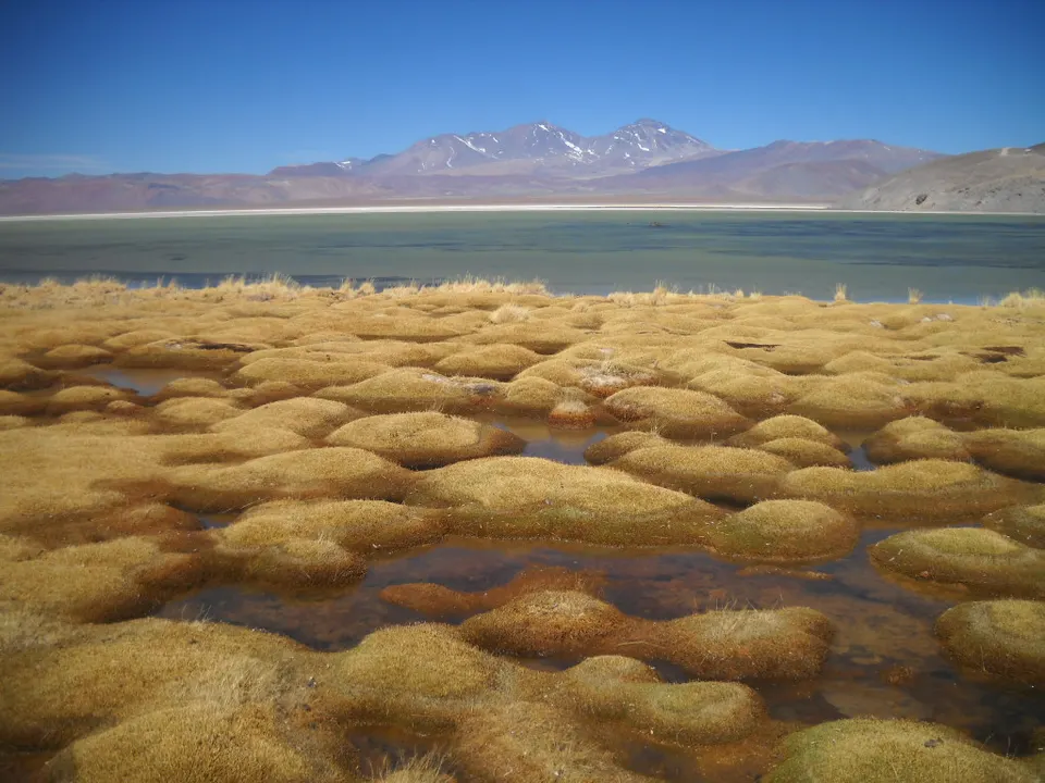 Laguna Santa Rosa and the Tres Cruces mountains — Región de Atacama, Chile