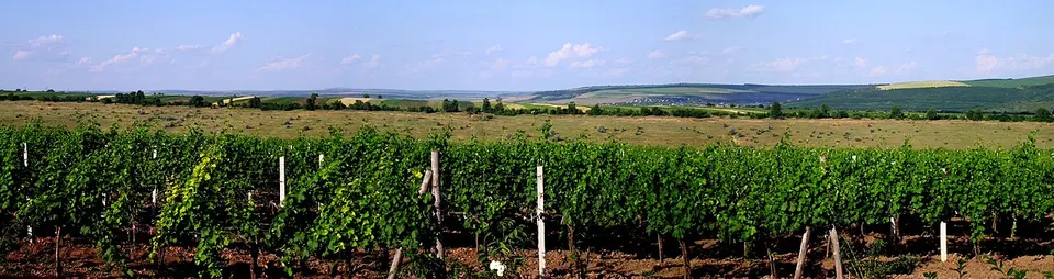 Пейзаж к северо-западу от Сэрата Ноуэ - panoramio — Leova, Moldova