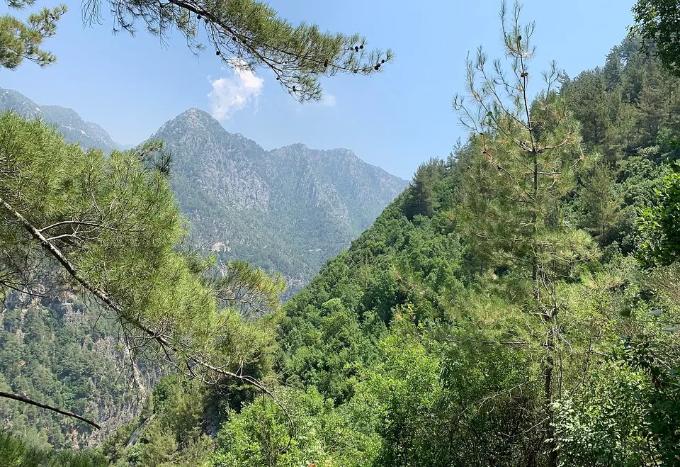 Jabal Moussa Biosphere Reserve 03 — Keserwan-Jbeil, Lebanon