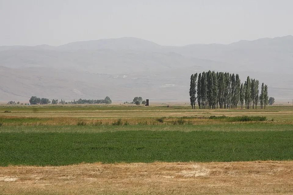 Dumlu, Erzurum, Turkey (28798547964) — Erzurum, Turkey