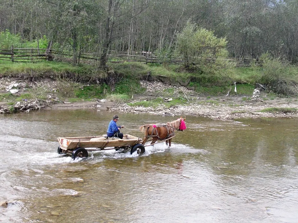 Horse-drawn cart crossing a river — SUCEAVA, Romania