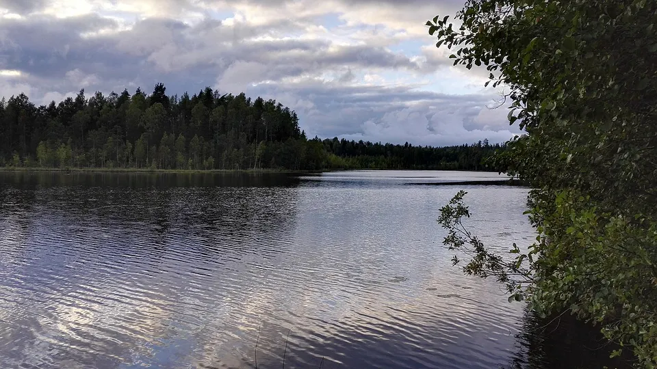 Lake and wooded shoreline — Uusimaa, Finland
