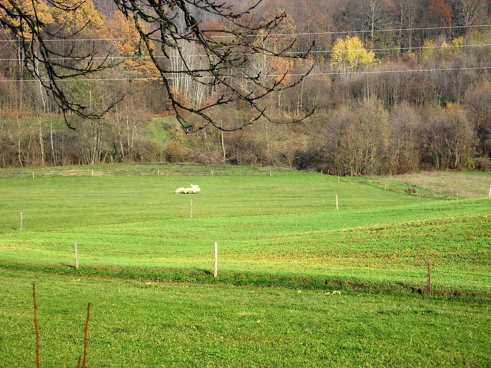 Panorama, G. Velešnja - 13 - panoramio — Sisak-Moslavina, Croatia