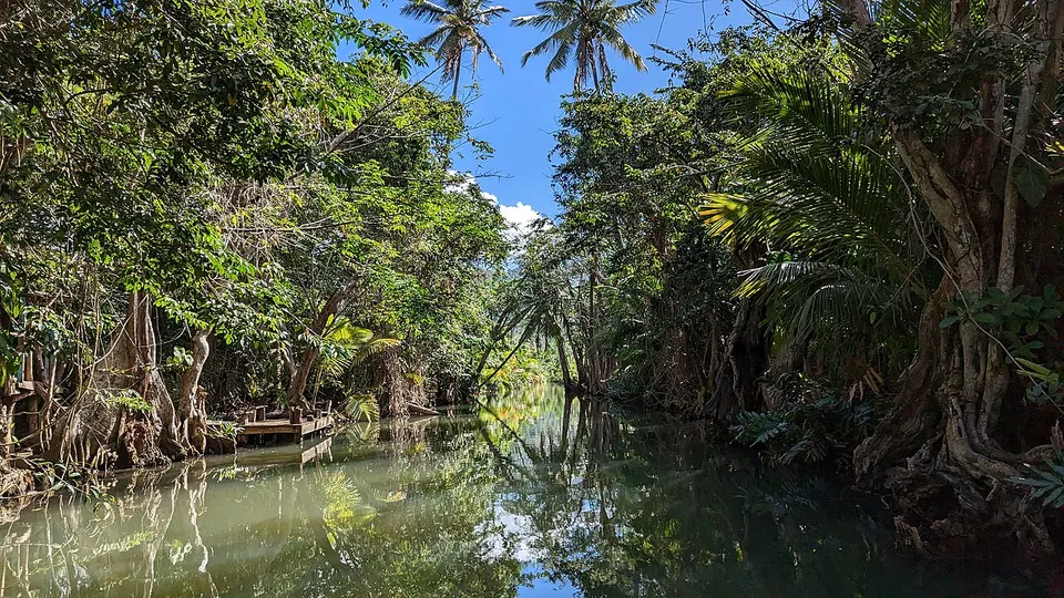 Auf dem Indian River — Saint John, Dominica