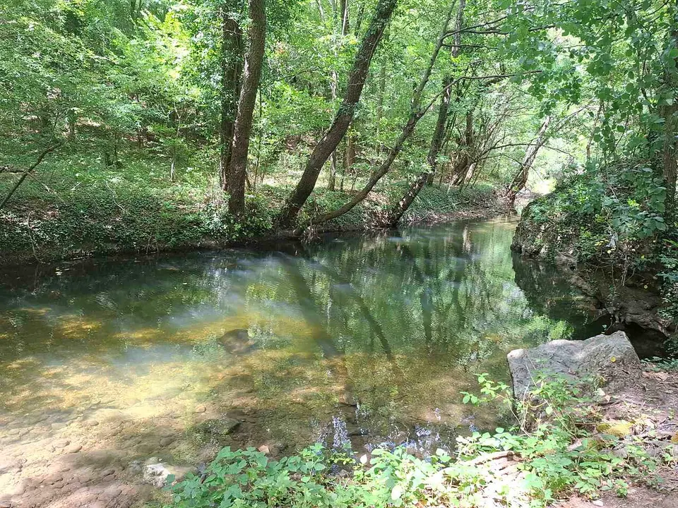 Kupalište Stari brest na Sokobanjskoj Moravici, Sokobanja — Zajecar District, Serbia