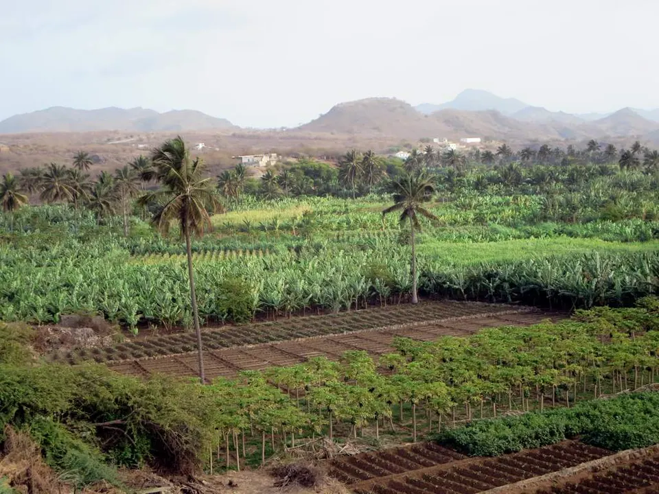 Cultivated fields and mountain landscape — Santa Cruz, Cabo Verde