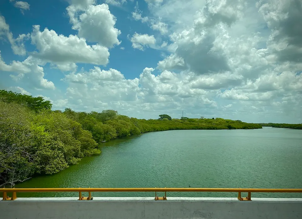 Lake and tropical woodland — Campeche, Mexico