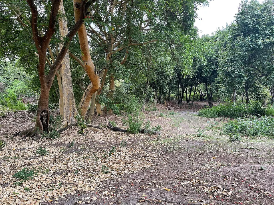Tabora Zoo landscape Kitete Ward — Tabora, Tanzania