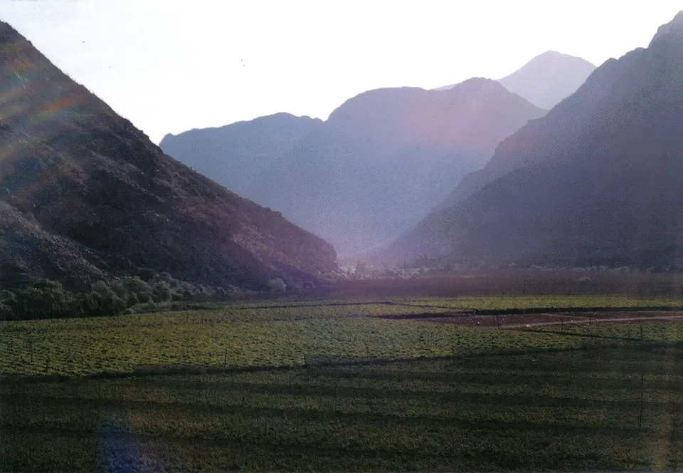 Vineyards and mountains in the Elqui Valley — Región de Coquimbo, Chile