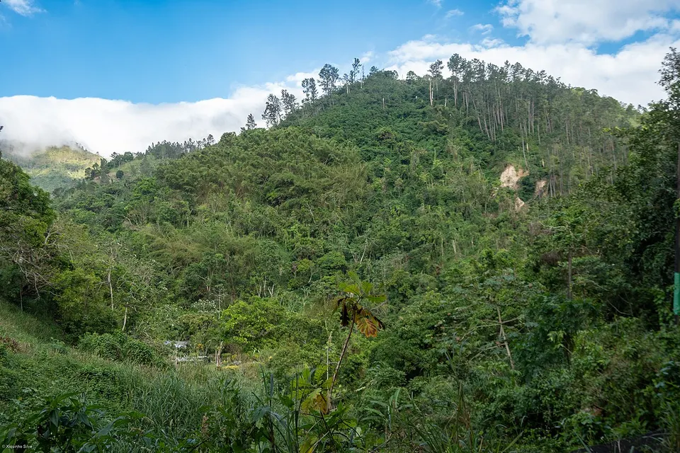 Blue and John Crow Mountains - 55367358947 — Saint Andrew, Jamaica
