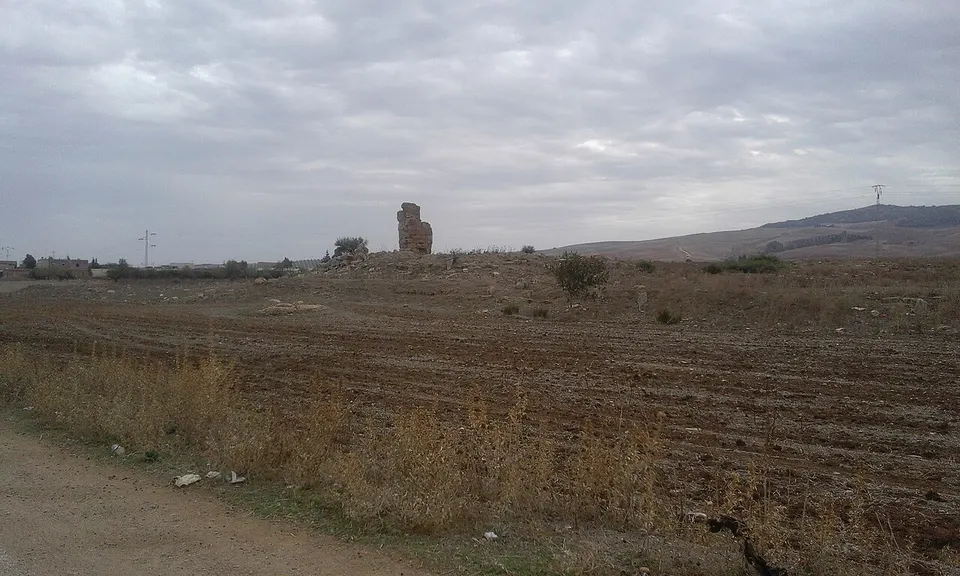 Vallis — Béja, Tunisia