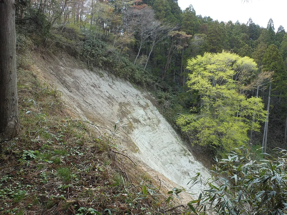 Wooded slopes and flowering trees — Miyagi, Japan