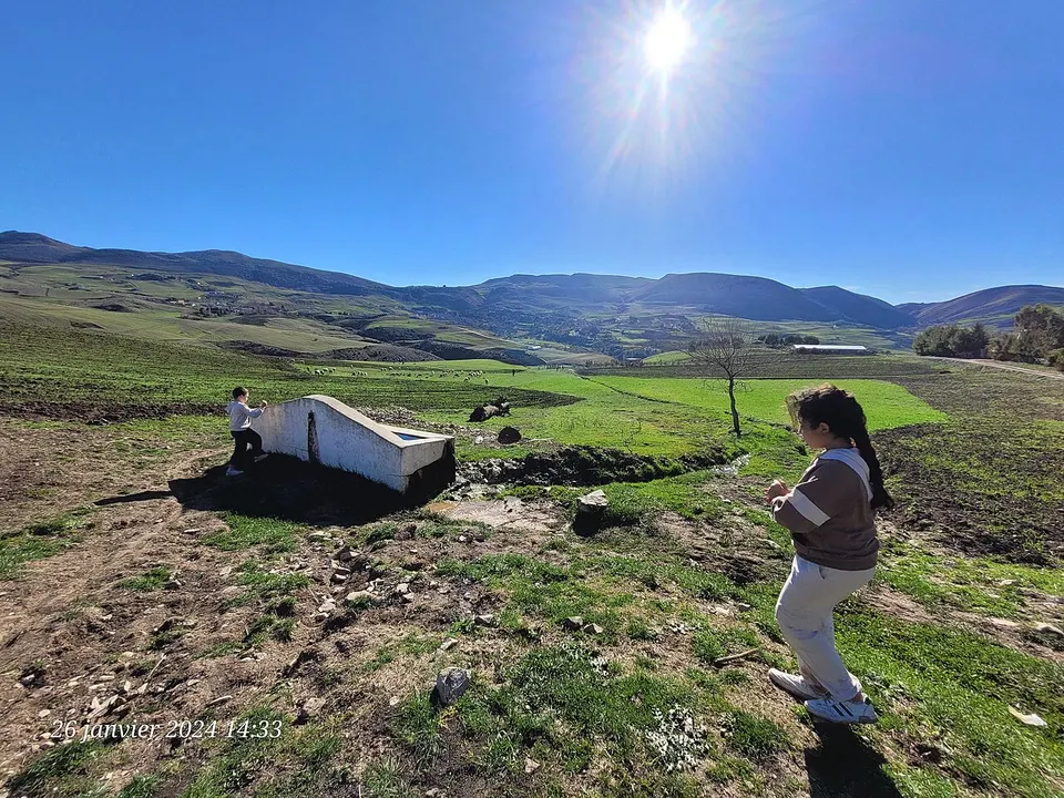 Green hills and open countryside — Guelma, Algeria