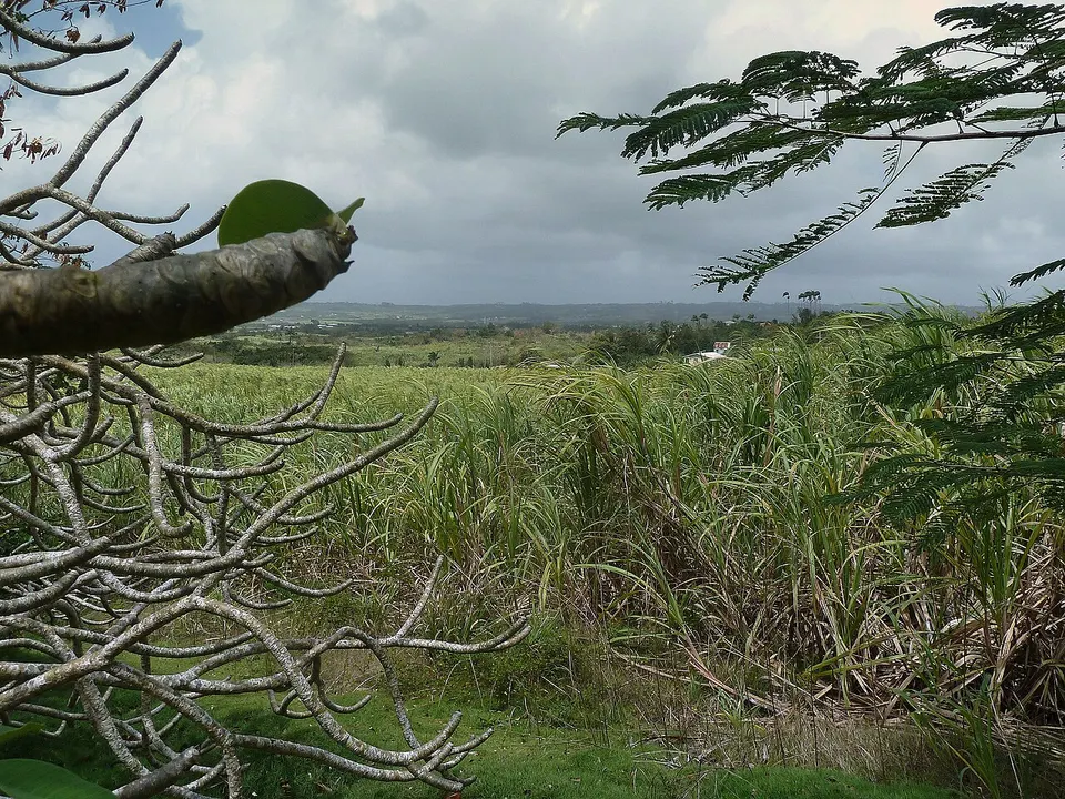 Barbados, Karibik - View from Gun Hill Signal Station - panoramio (2) — Saint George, Barbados