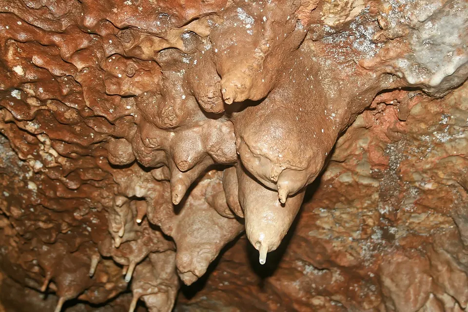 Nam Yen Khao Chaison Cave Ahoerstemeier 10 — Phatthalung Province, Thailand