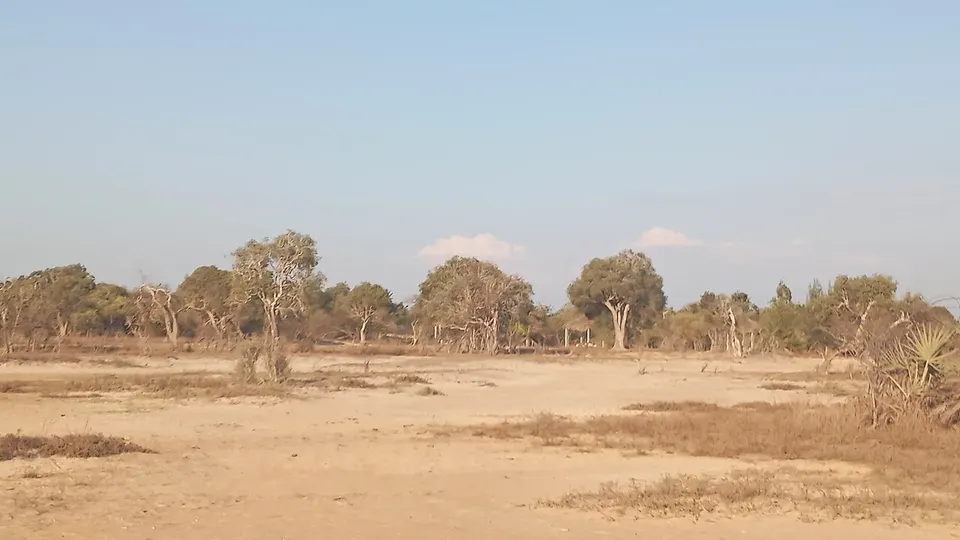 Paysage sur la route de la lage Kimony 25 — Menabe, Madagascar