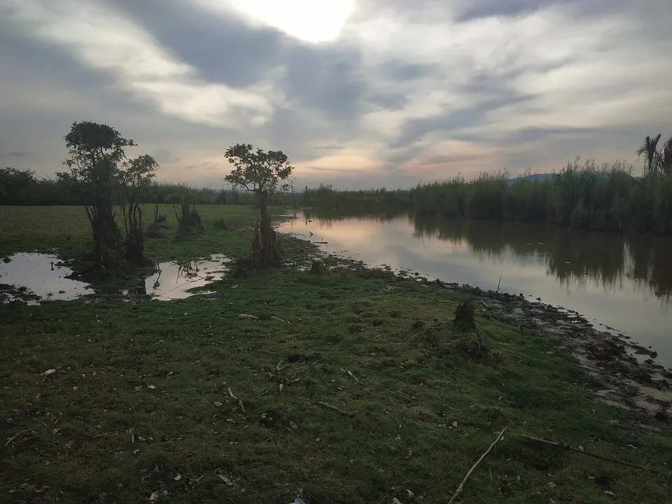 Rawa Aopa Watumohai — Southeast Sulawesi, Indonesia