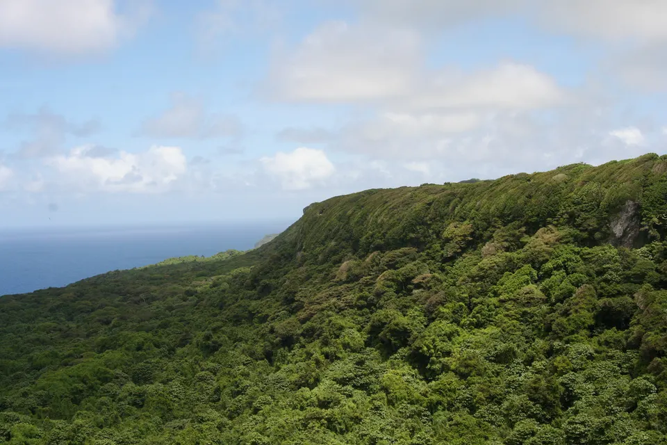 Green coastal cliffs — 'Eua, Tonga