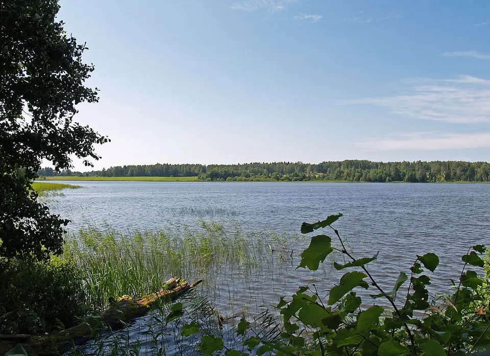 Katvaru ezers (Katvari lake) - Uldis Osis - Panoramio — Limbažu novads, Latvia