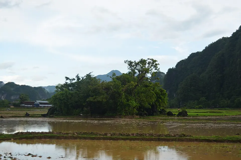 Sawah di Desa Kalabbirang, Taman Nasional Bantumurung-Bulusaraung — South Sulawesi, Indonesia