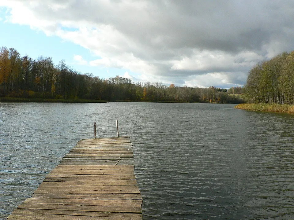 Lake and forest — Utena County, Lithuania