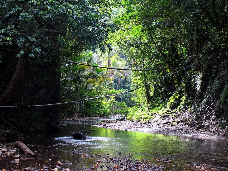 A quiet river scene in Malaita. A water pipe stretches across the river, a local villages water supply. (10662964066) — Malaita, Solomon Islands