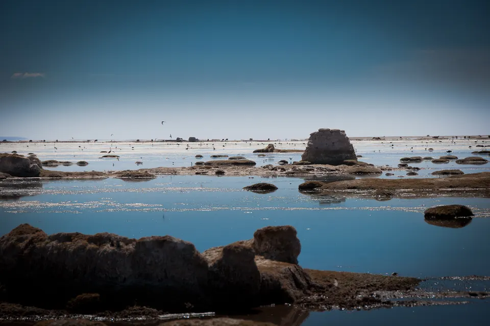 Lago Uru Uru Chipaya 5 — Oruro, Bolivia