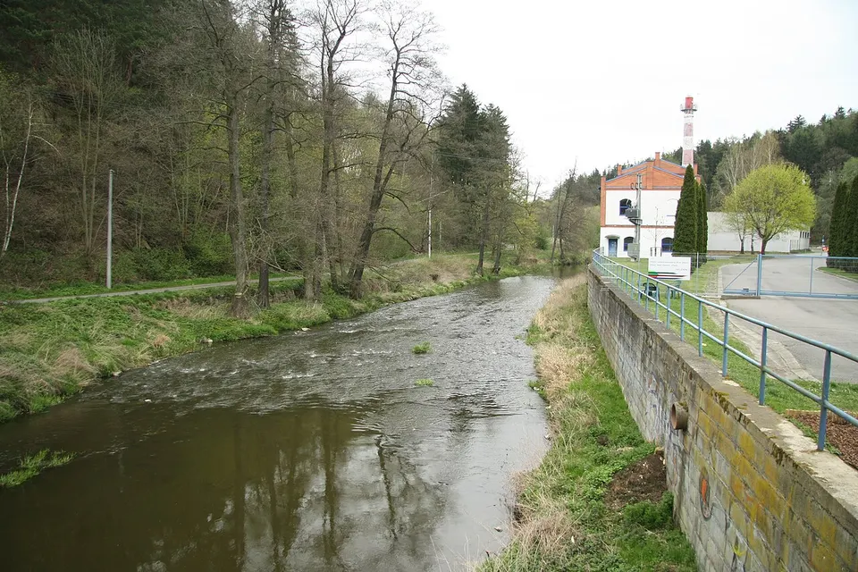 River and wooded banks — Kraj Vysočina, Czechia