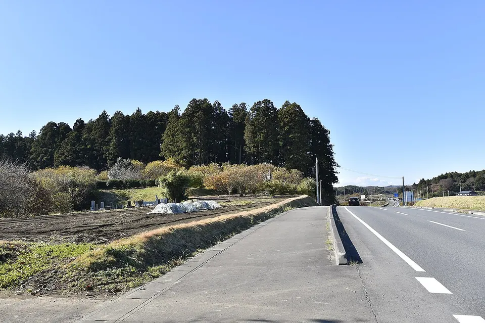 Ruins of Shinzenkoji Temple (Kasama、Ibaraki, Japan) 02 — Ibaraki, Japan