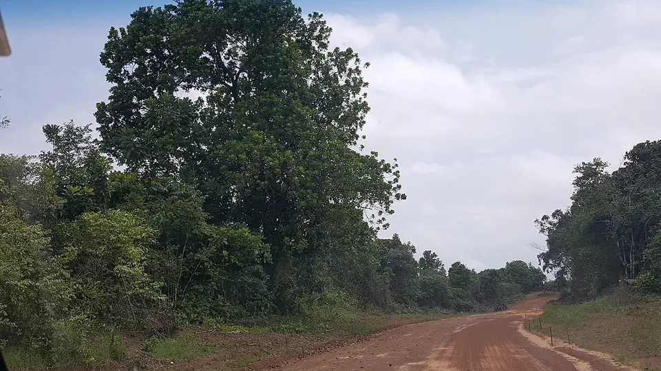Along the road to Kingsville — Grand Bassa, Liberia