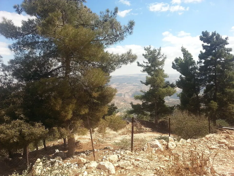 Ajloun forests JO 2 — Jerash, Jordan