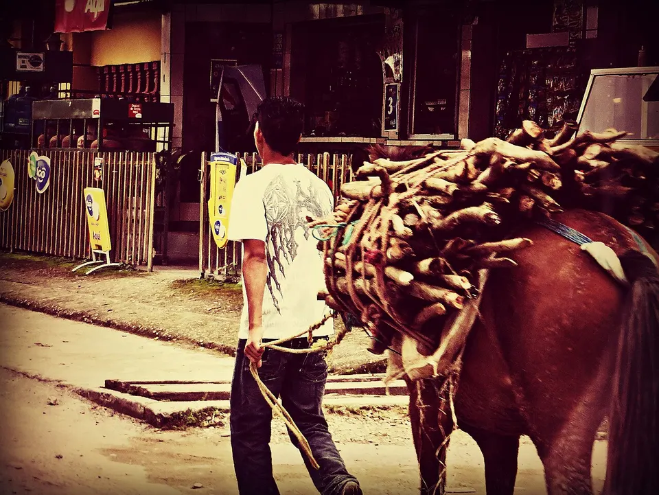 All in a Days Work . . . (16774550351) — Atlántida, Honduras
