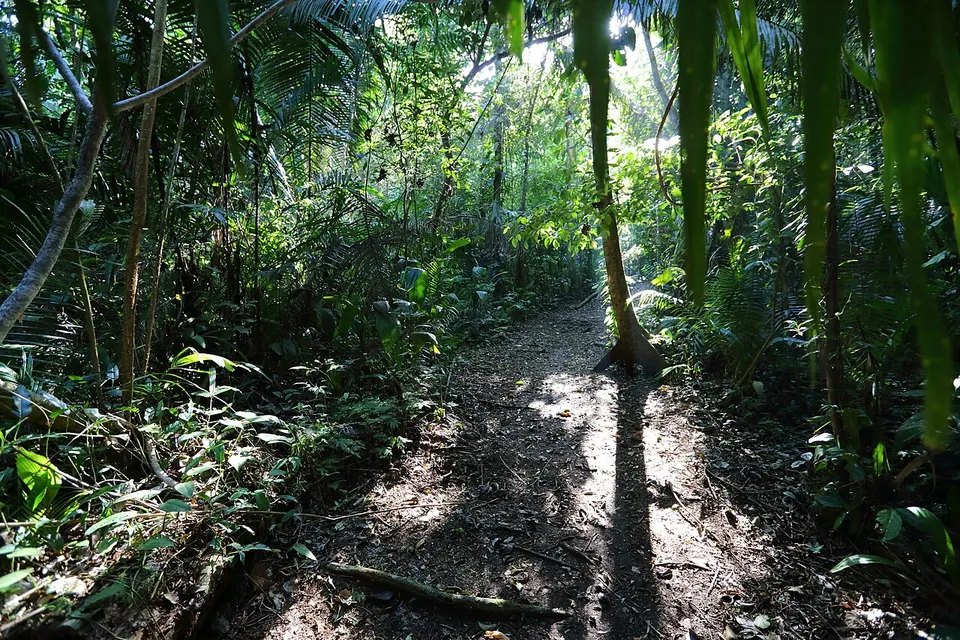 Blue Hole National Park 02 — Cayo, Belize