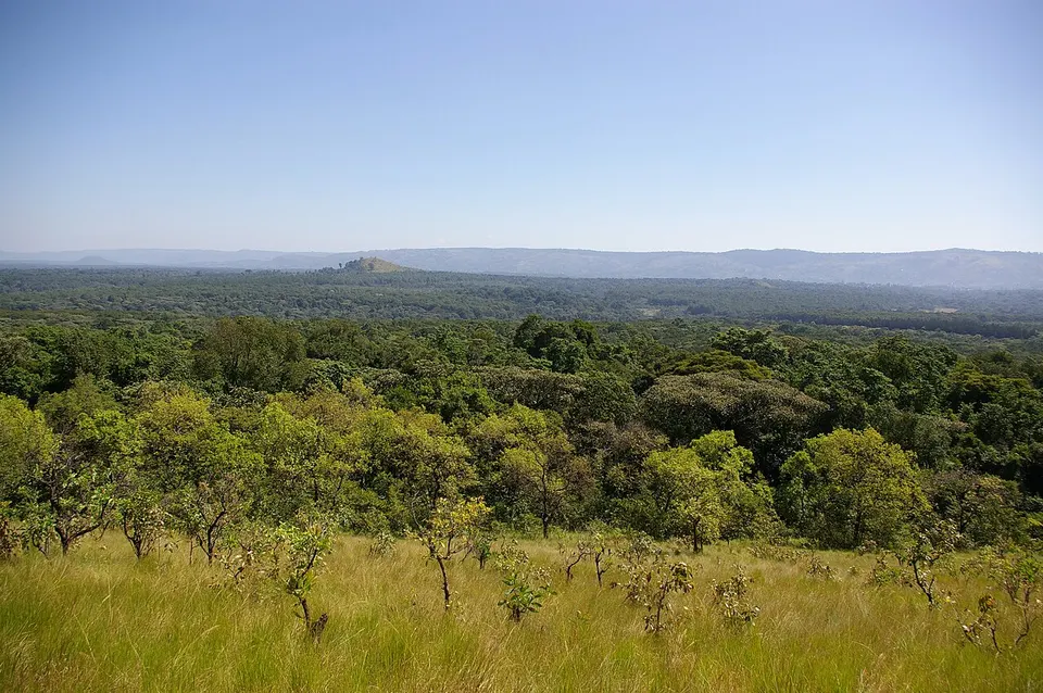View from Lirhanda Hill - panoramio — Kakamega, Kenya