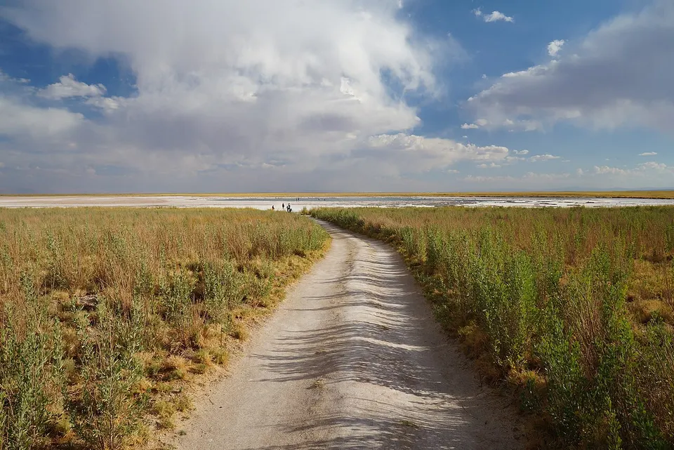 Boardwalk beside Laguna Cejar — Región de Antofagasta, Chile