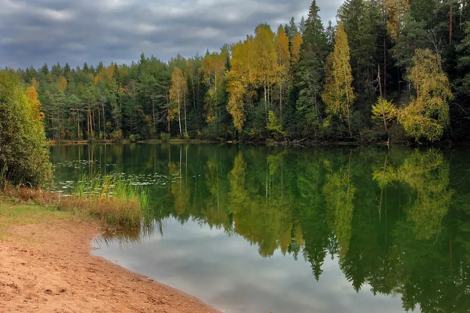 Jõuküla järv — Ida-Viru maakond, Estonia