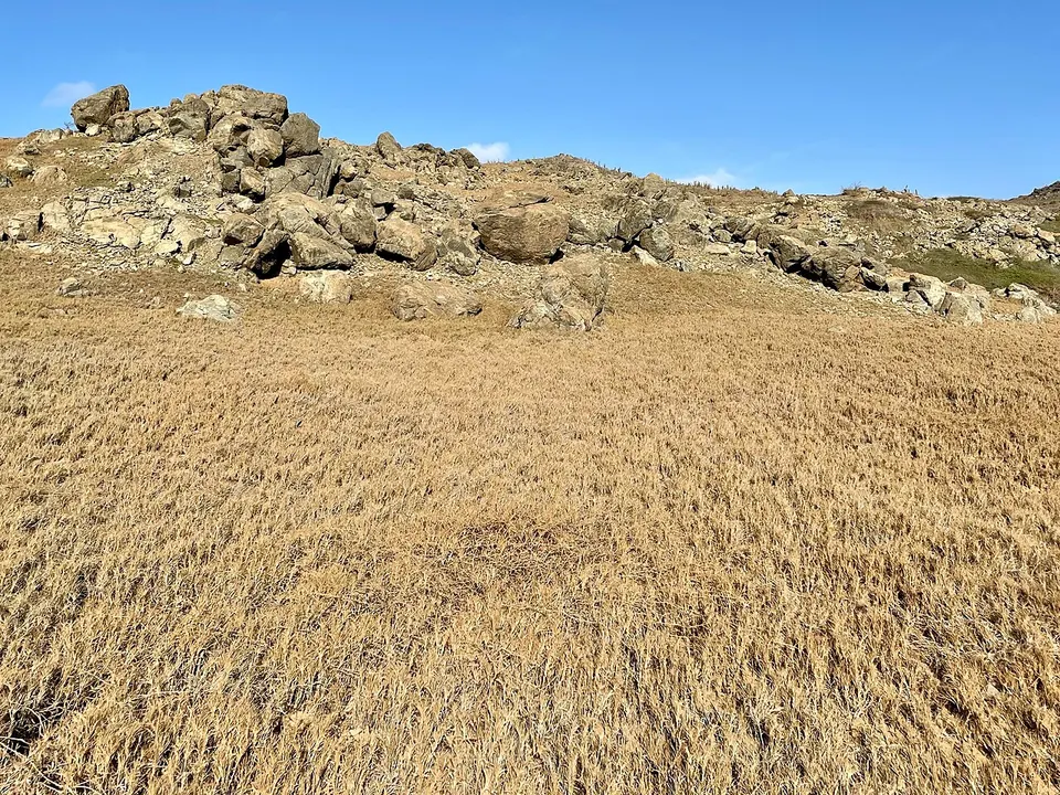 View on Andicuri trail — Aruba, Aruba