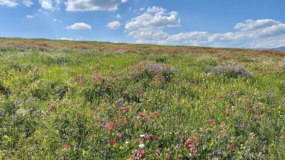 Gutanasar, Alpian Fields 002 — Kotayk, Armenia