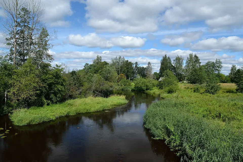 Reiu jõgi Surju vallas — Pärnu maakond, Estonia