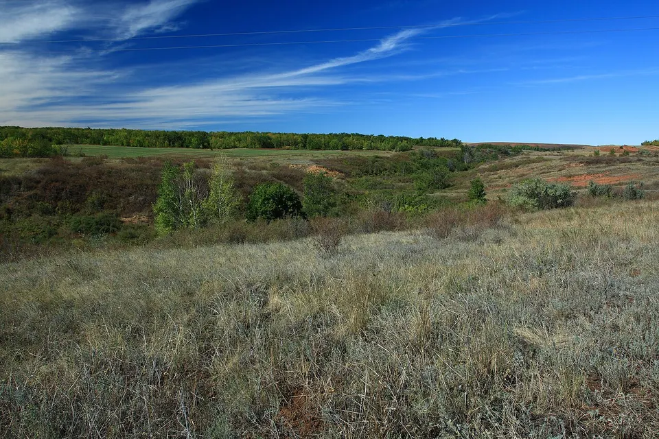 Вид на северо-запад - panoramio — Orenburg Oblast, Russia
