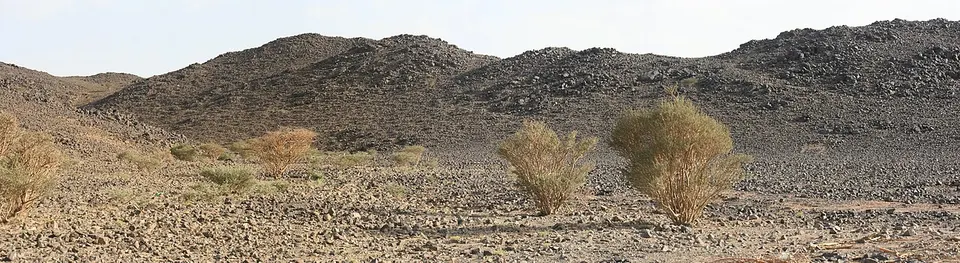 Trees are rare - panoramio — Al Madinah Region, Saudi Arabia