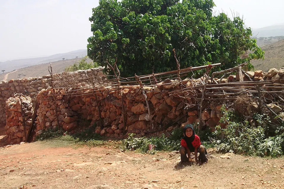 Village girl (6407170657) — Socotra, Yemen