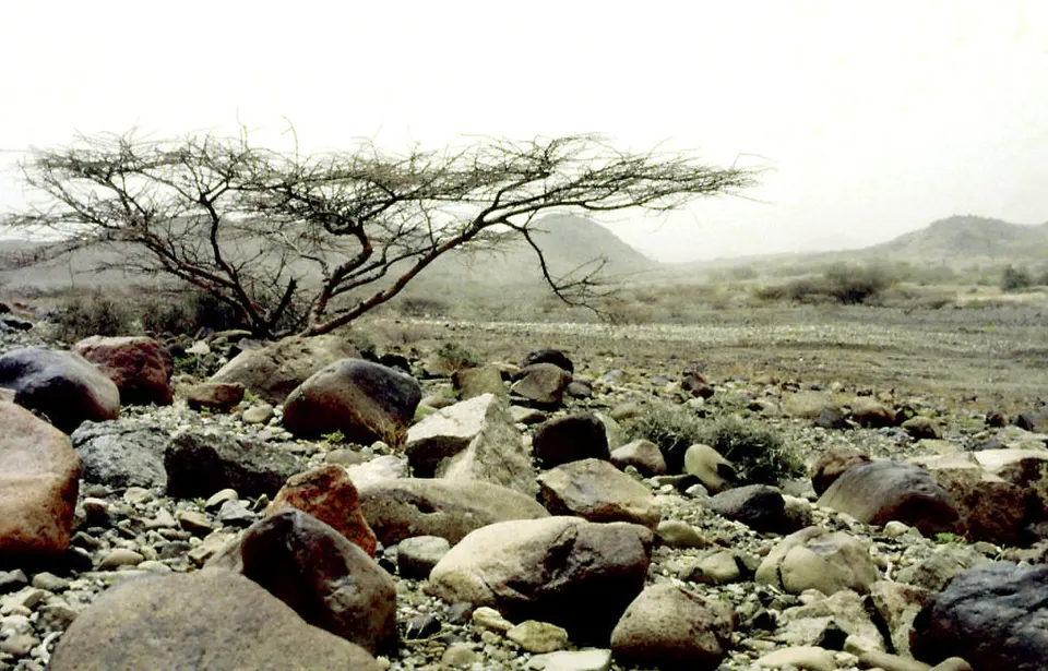 La Tihama 1987 02 — Al Hudaydah Governorate, Yemen