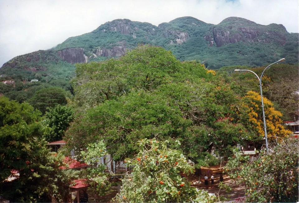 Victoria (2886722289) — Mont Buxto, Seychelles